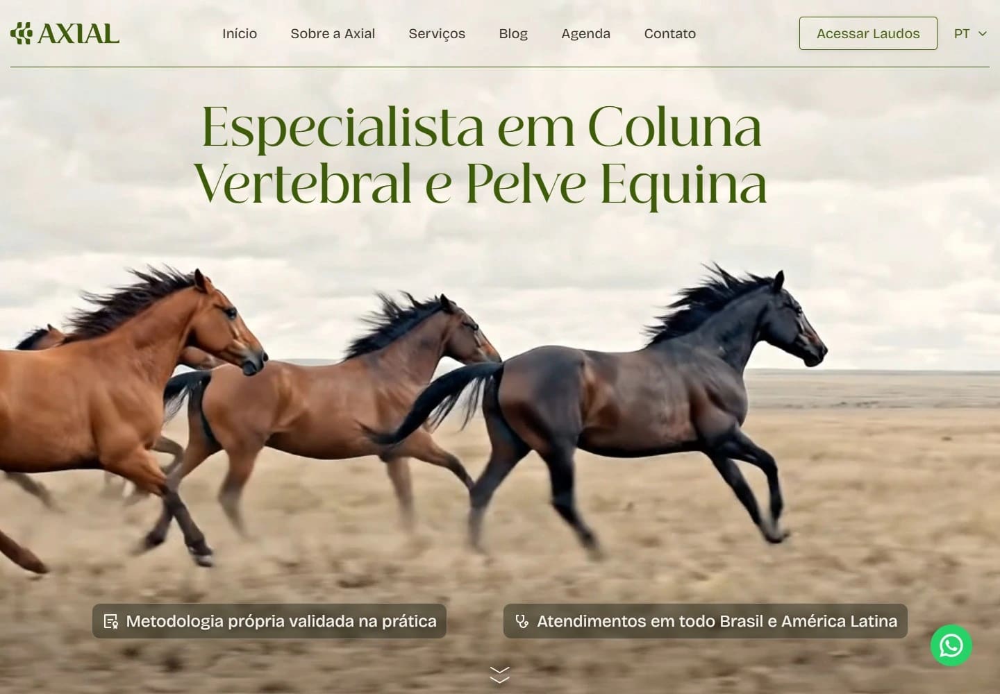 Captura real da Home de Axial Vet no desktop.